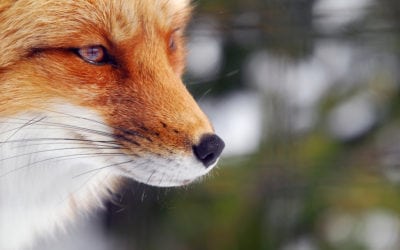 The Inside-Out Path to a Better Life